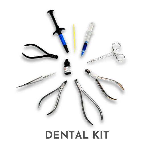 Dental Kit